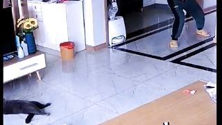 How to catch cat ???????? amazing ???? love ????????
