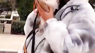 How to small dog flying a amazing ???????? funny ????????????
