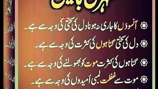 اسلامی معلومات Like share follow 237