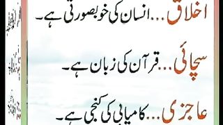 اسلامی معلومات Like share follow 238