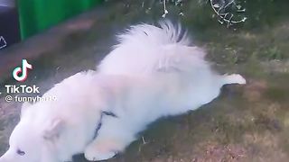 Приколи 662