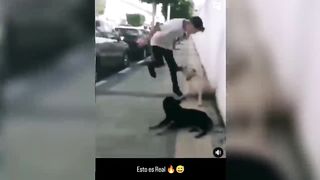 SI TE RÍES PIERDES NIVEL DIOS (412% IMPOSIBLE!!!) ????????????
