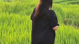 the beauty of rural rice fields in the morning