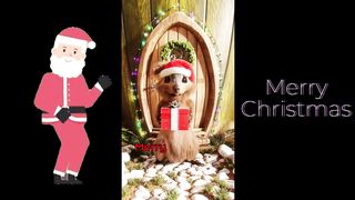 Unwrapping Christmas Magic: Journey with Santa Claus ????