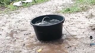 wake up and take a shower