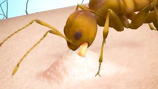 This is why an ant's bite hurts so bad.