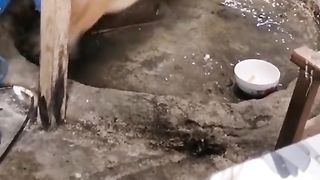 Amazing videos vol 98