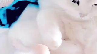 Amazing videos vol 106