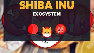 2 MIN AGO_ THE CEO OF SHIBA INU WITH URGENT MESSAGE FOR SHIB HOLDERS!! - SHIB NEWS TODAY