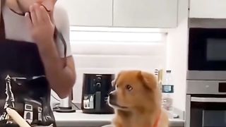 Funny video