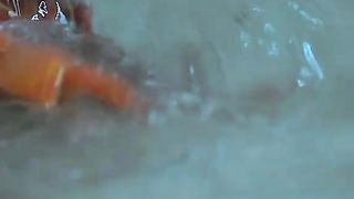 Christmas Island red crabs