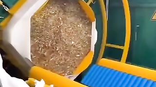 Chawal ki parali