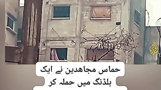 Shahzado ne kutto ko jahannam wasil kerdiya mashaallah