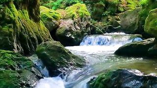 Waterfall Nature