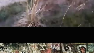 Ridiculous Incident vol 162