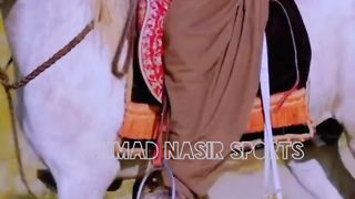 #febspot#foryou #foryoupage#horses#ridings#vedio74#ahmad#nasir#sports#fyb#fybpage fybpage#chak#no168/171NB