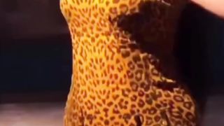 Dancing Milf. NICE