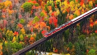 Amazing videos vol 109