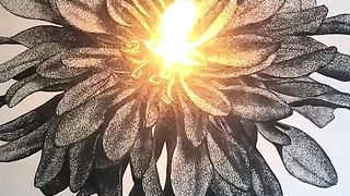 Amazing videos vol 114