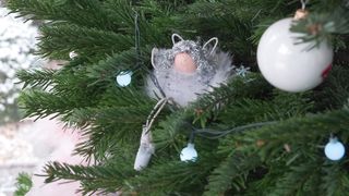 "Winter Wonderland Wonders: Unwrapping Joy, Sparkling Decor, and Heartwarming Moments this Christmas!"
