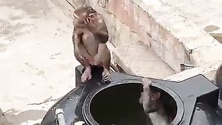 Playful Monkey Splashing Fun in the Tub ????????