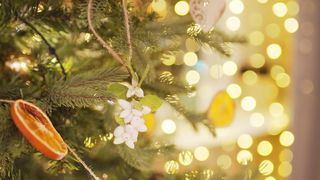 "Winter Wonders: Elevate Your Christmas with Inspiring Decor, Delicious Delights, and Unforgettable Celebrations!"