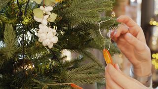 "Merry & Bright: Crafting Your Ultimate Christmas Experience with Decor, Delights, and Cherished Moments!"