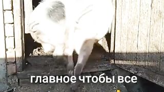 Jokes 10