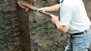 Amazing videos vol 116