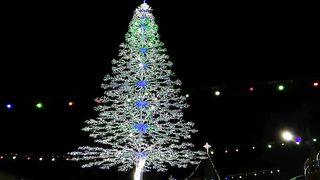 "Celebration Symphony: Crafting Christmas Magic with Festive Decor, Culinary Delights, and Heartwarming Connections!"