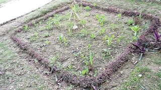 Pick up new garden decoration idea