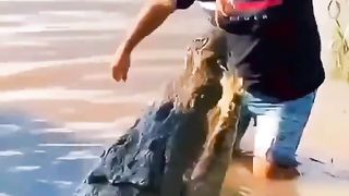 Detik Detik Manusia di Mangsa Buaya