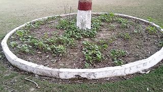 Creative garden decoration idea