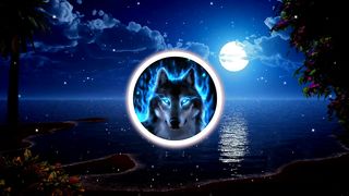 Alan Walker Style 2