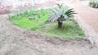 Unique garden decoration idea