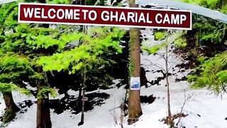 Gharial Camp Road Murree Punjab