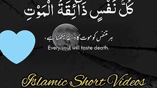 Recite Quran e pak