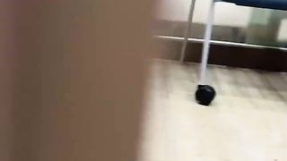 A cat slowly approaching