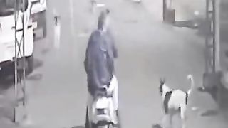 2_Men_Attacked_By_Stray_Dogs_In_Jalandhar_Street_#shorts_#viral(480p).