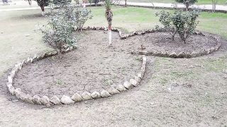 This is an amazing garden design
