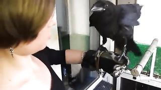 Amazing feeding the Raven