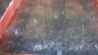 Larva yang lahir dari induk lele yang matang gonad akan baik-baik saja