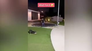EXTREME Try Not To Laugh ???? 8