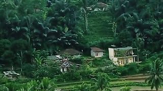 green and beautiful rural nature