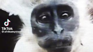 Transformation mystique en Afrique