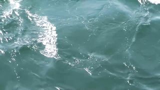 This SHOCKING Fish Farm Is Growing Fish Faster Than Ever Before