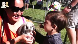 Babies Cuddling and Hugging Animals
