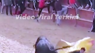 exciting spanish bull show