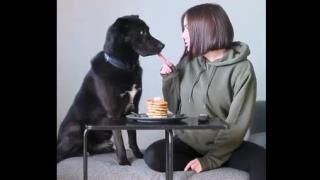 Don't touch My Pancakes!