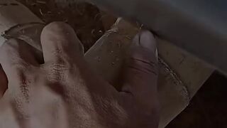 How to build a chicken coop